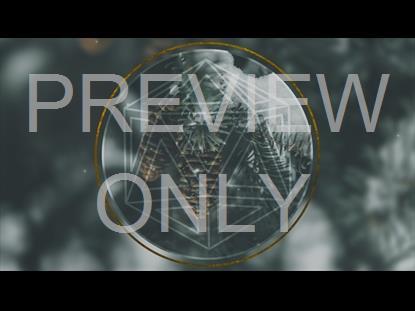 BEAUTIFUL WINTER 2 GRAPHIC