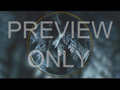 BEAUTIFUL WINTER 3 GRAPHIC