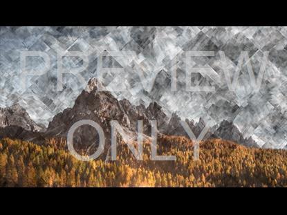 COLORFUL FALL 1 GRAPHIC