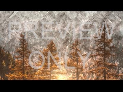 COLORFUL FALL 3 GRAPHIC