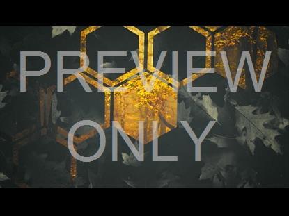 FALL EQUINOX 1 GRAPHIC