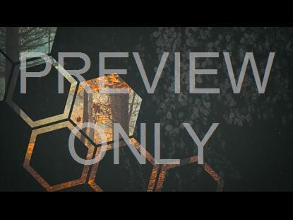 FALL EQUINOX 3 GRAPHIC