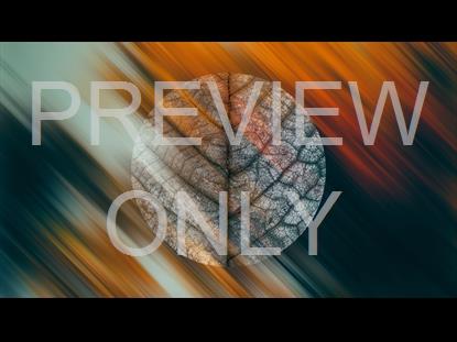 IN THE FALL 1 GRAPHIC