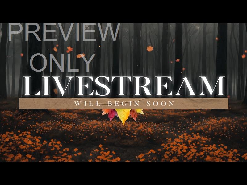 THANKFUL AUTUMN LIVESTREAM STILL