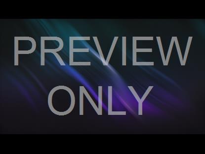 THE COLORS OF WINTER GRAPHIC 2