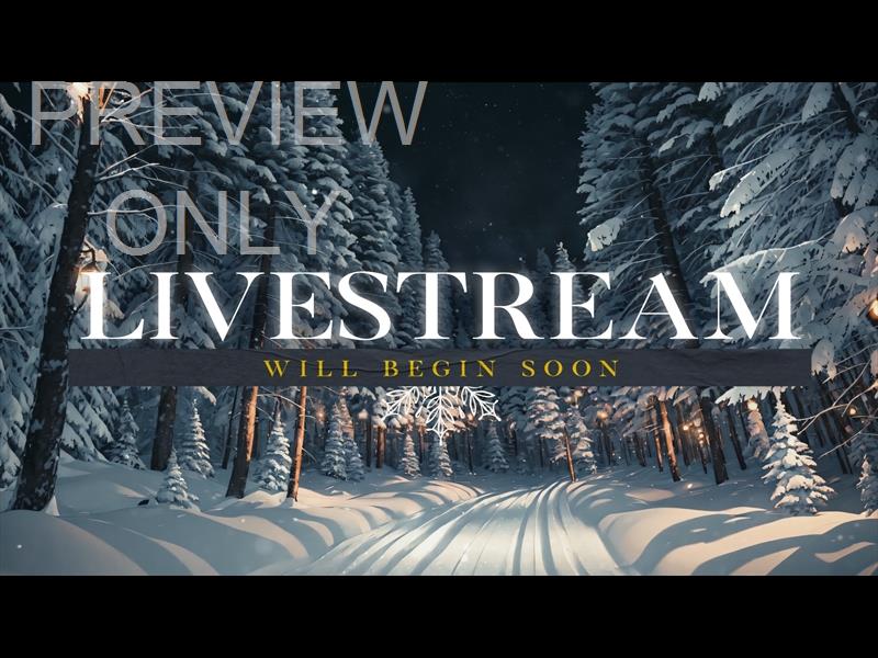 WINTERSCAPE LIVESTREAM STILL