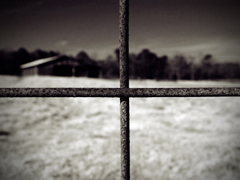 CROSS BARS