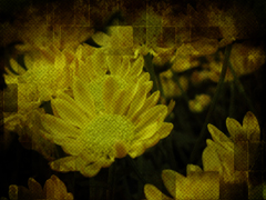 SPRING TILES 1
