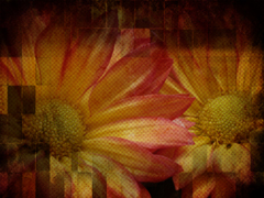 SPRING TILES 2