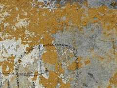 WALK BACKGROUND
