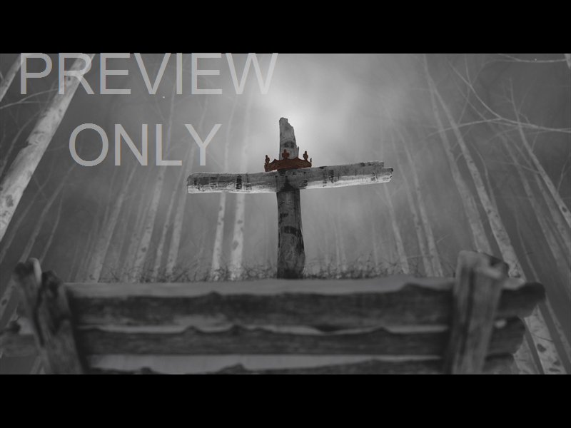 CHRISTMAS JOY: STILL MANGER 07