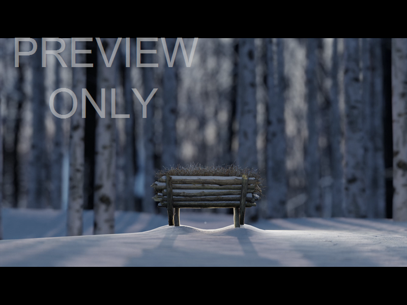 CHRISTMAS JOY: STILL MANGER 11