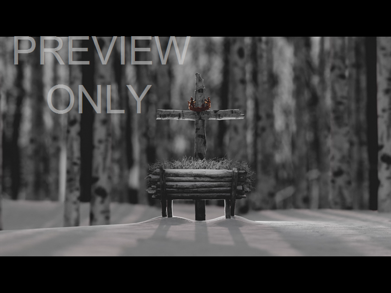 CHRISTMAS JOY: STILL MANGER 13