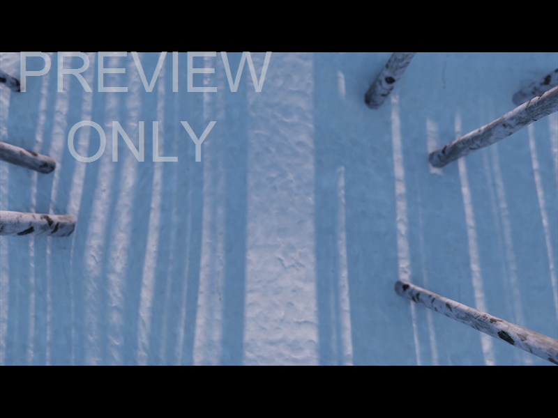 CHRISTMAS JOY: STILL TREES 03