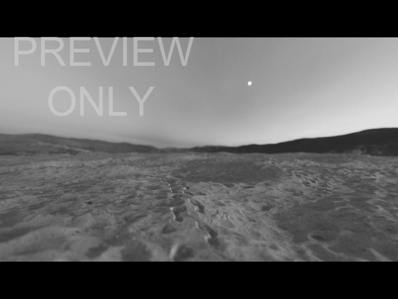 HIS PLAN IS PERFECT: STILL 20