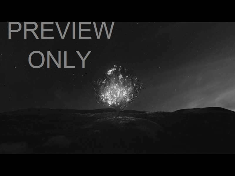 HIS PLAN IS PERFECT: STILL 23