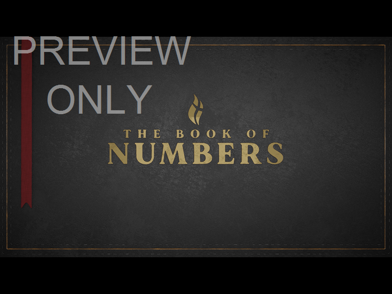 NUMBERS - BLACK STILL