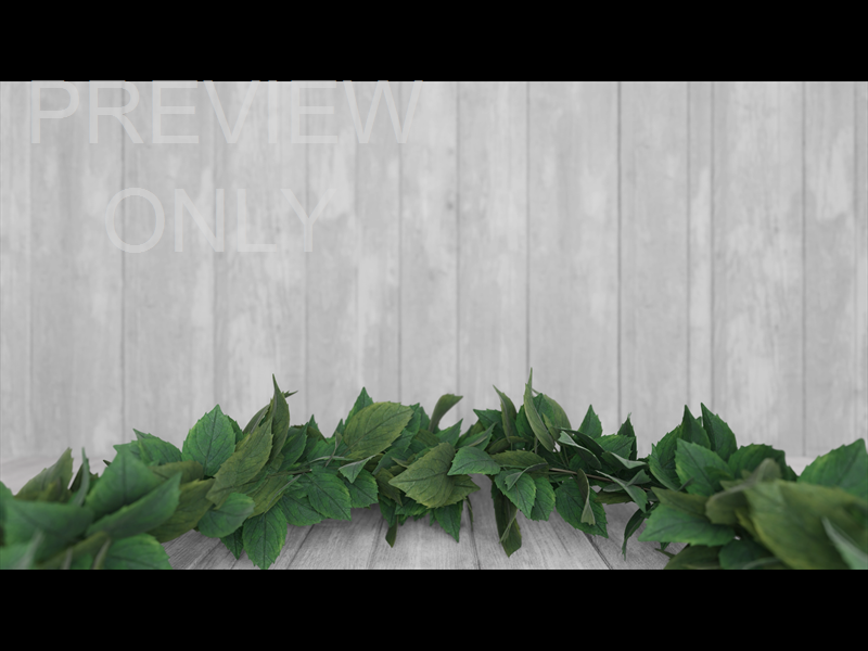 SUMMER WREATH STILL 15