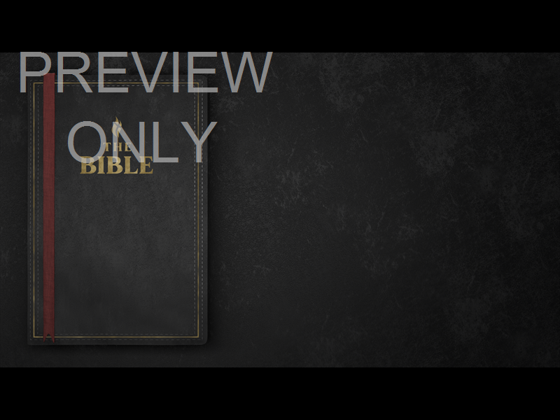 TITLE: THE BIBLE - BOOK SIDE BLACK STILL