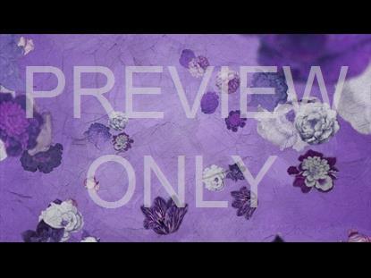 WHO YOU SAY I AM STILL 11