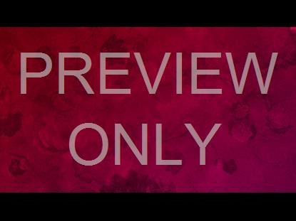 WHO YOU SAY I AM STILL 14