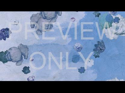 WHO YOU SAY I AM STILL 5