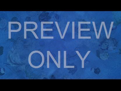 WHO YOU SAY I AM STILL 7