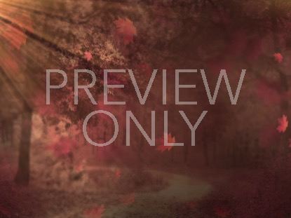 FALL BACKGROUND 3 STILL VOL 4