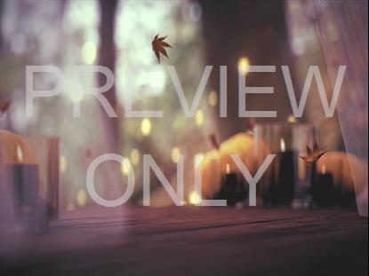 THANKSGIVING 1 STILL VOL. 4 