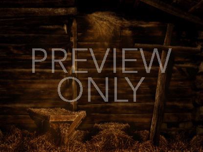 30 THE MESSIAHS MANGER