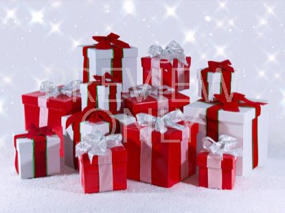 THE TWELVE DAYS OF CHRISTMAS STILLS