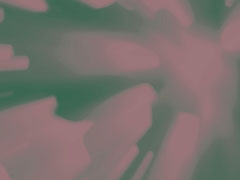 RAYS 2