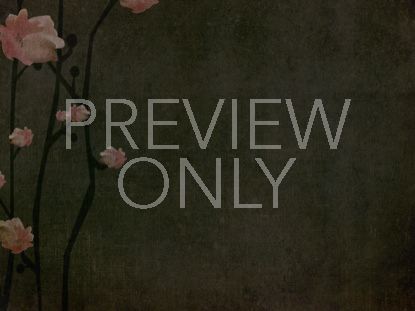 CHERRY BLOSSOM BROWN LEFT