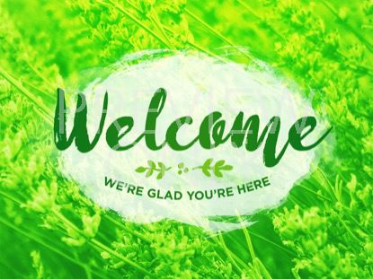 FLOWER FIELDS WELCOME