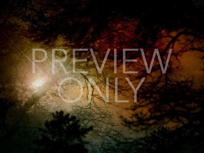 NATURE SUNSET COLORS