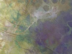 ABSTRACT 1
