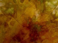 ABSTRACT 4