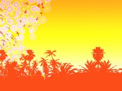 BEACH TREES 3