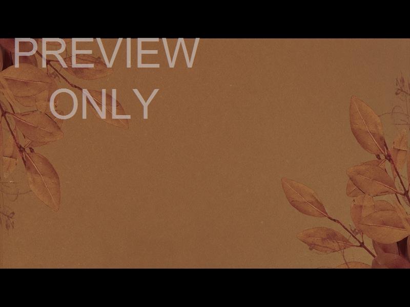 AUTUMN NATURE 1 STILL