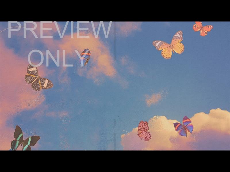BUTTERFLY SKY HAPPY MOTHERS DAY TITLE STILL 3