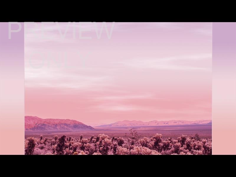 DESERT PINK 4