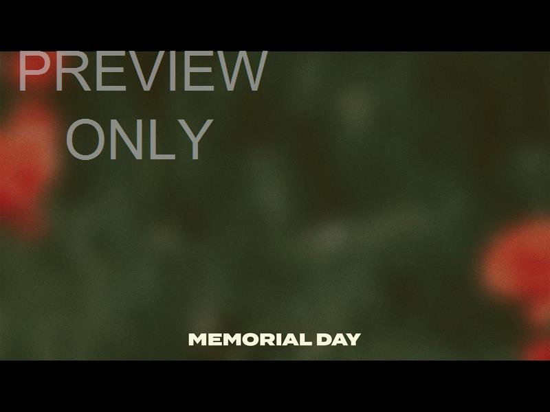 FIELD OF POPPIES: MEMORIAL DAY ALT 1 STILL