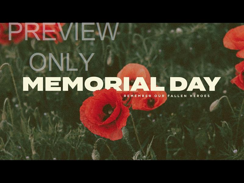FIELD OF POPPIES: MEMORIAL DAY TITLE 1 STILL