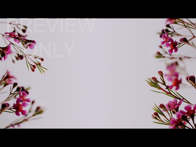 FLORAL DETAILS STILL 4