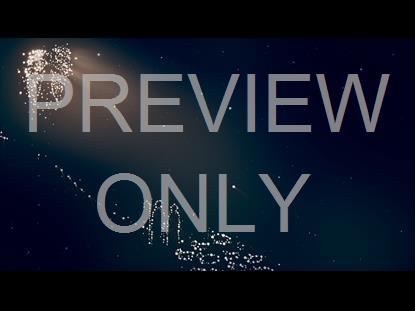 LIGHT OF THE WORLD SHEPHERDS