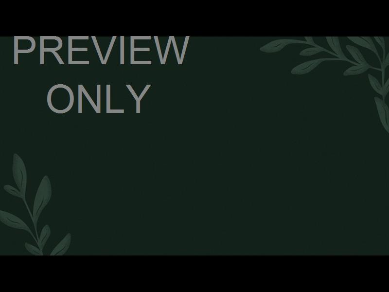 NEW BEGINNINGS STILL 3