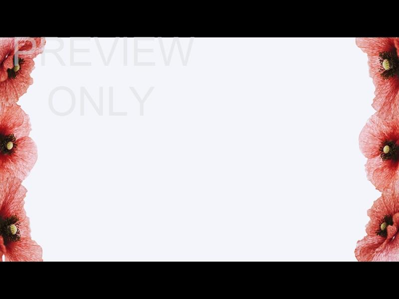 PATRIOTIC POPPIES: MEMORIAL DAY ALT 2 STILL