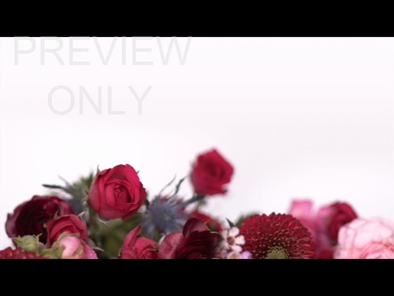 SPRING FLORALS: 3 STILL