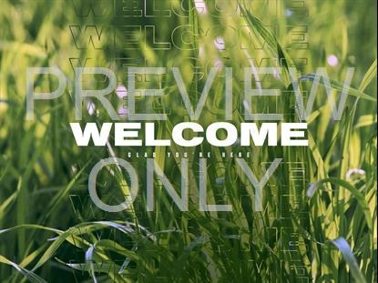 SPRING GREEN WELCOME