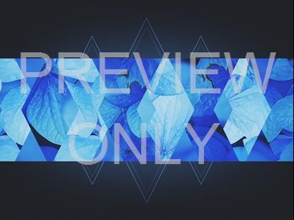 SPRING SHIFT BLUE BAR